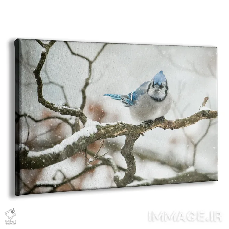 تابلو جِیِ سرد (نوعی پرنده) اثر دیوید گارباورر - نمای پرسپکتیو محصول