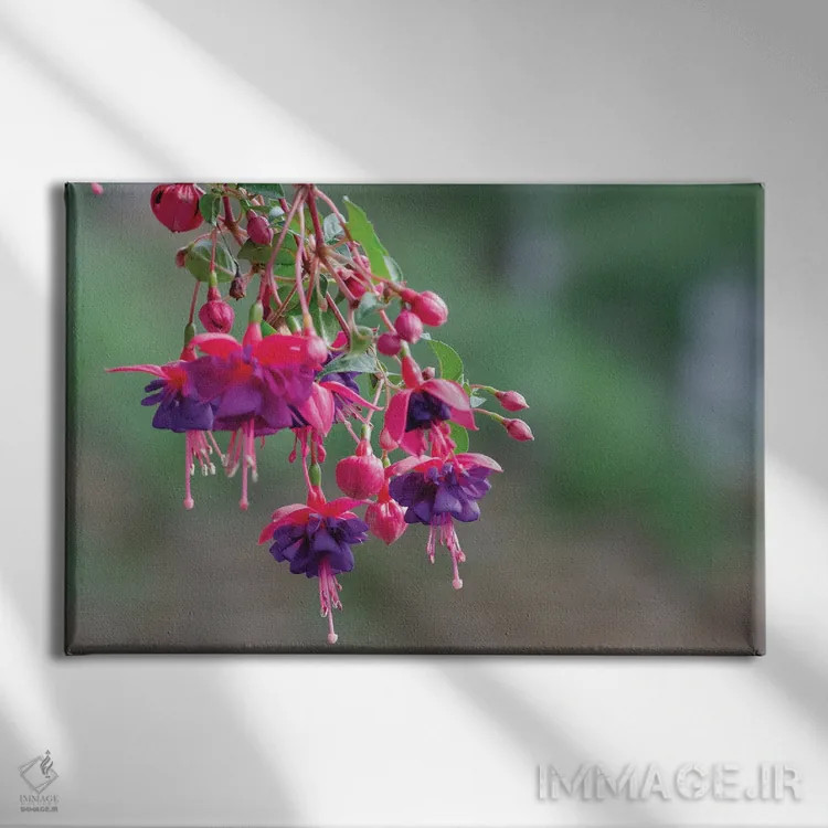 تابلو زیبایی آویزان اثر دیوید گارباورر - نمای روبهرو روی دیوار