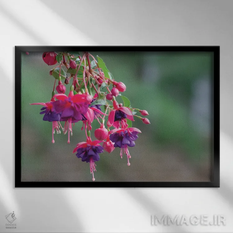 تابلو زیبایی آویزان اثر دیوید گارباورر - نمای قابدار مشکی