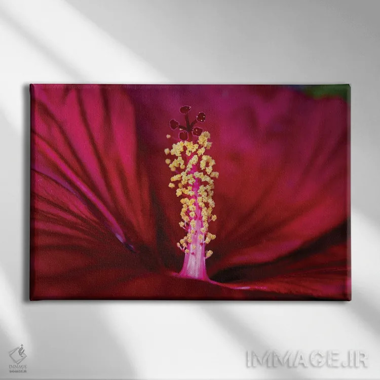 تابلو در دریایی از سرخی اثر دیوید گارباورر - نمای روبهرو روی دیوار