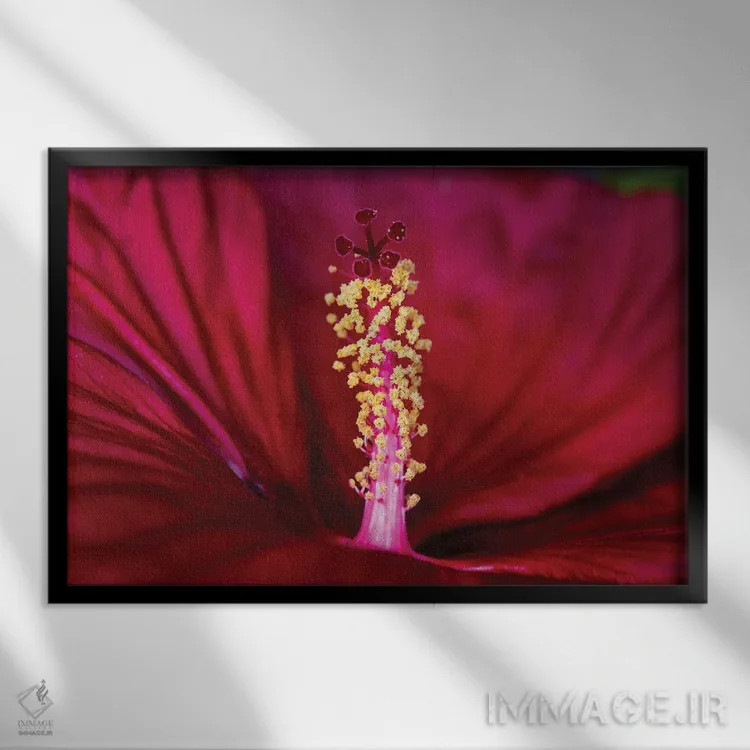 تابلو در دریایی از سرخی اثر دیوید گارباورر - نمای قابدار مشکی