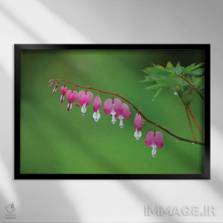 تابلو قلبهای به نمایش درآمده اثر دیوید گارباورر - نمای قابدار مشکی