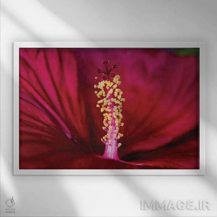تابلو در دریایی از سرخی اثر دیوید گارباورر - نمای قابدار سفید