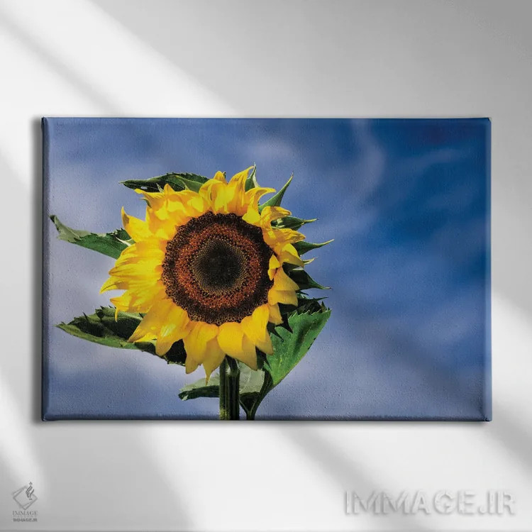 تابلو آسمان آفتابی اثر دیوید گارباورر - نمای روبهرو روی دیوار