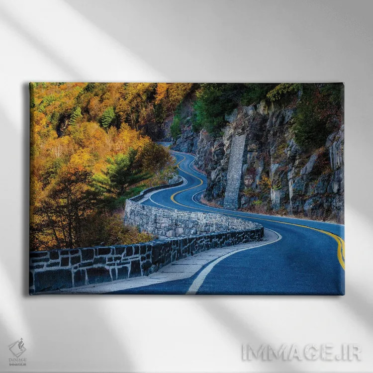 تابلو منحنیها اثر دیوید گارباورر - نمای روبهرو روی دیوار