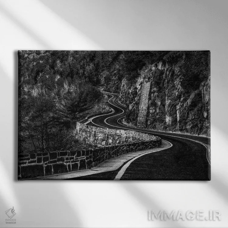 تابلو منحنیها ۲ اثر دیوید گارباورر - نمای روبهرو روی دیوار