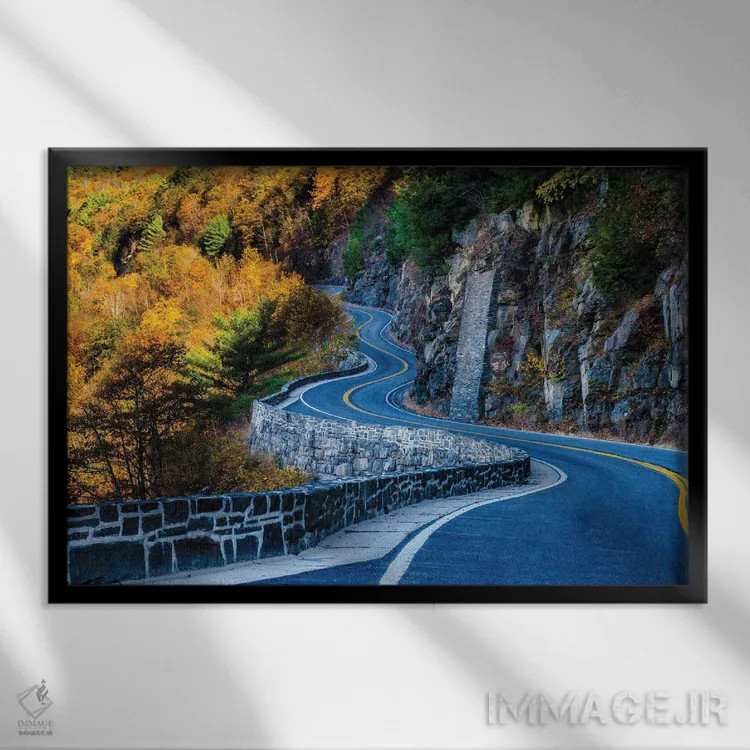 تابلو منحنیها اثر دیوید گارباورر - نمای قابدار مشکی
