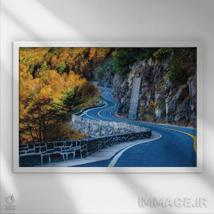 تابلو منحنیها اثر دیوید گارباورر - نمای قابدار سفید