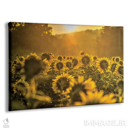 تابلو در دل خورشید اثر دیوید گارباورر - نمای پرسپکتیو محصول