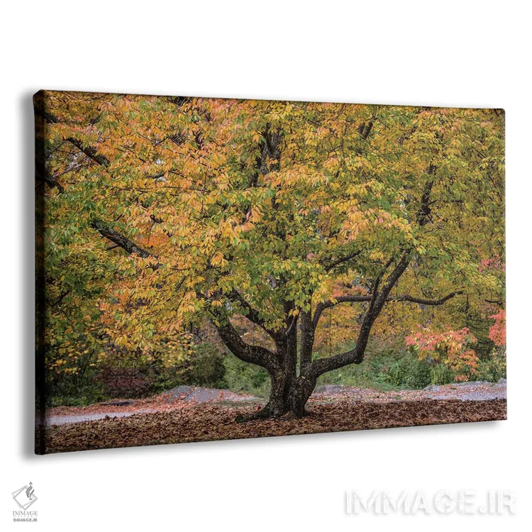 تابلو پرشاخ و برگ اثر دیوید گارباورر - نمای پرسپکتیو محصول