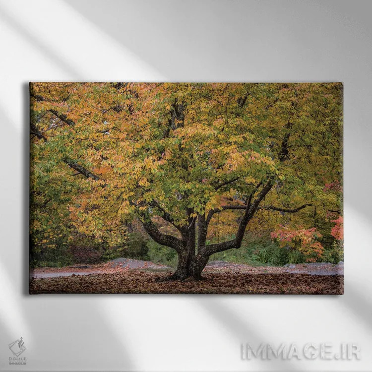 تابلو پرشاخ و برگ اثر دیوید گارباورر - نمای روبهرو روی دیوار