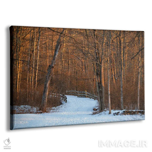 تابلو مسیر برکهٔ طولانی اثر دیوید گارباورر - نمای پرسپکتیو محصول