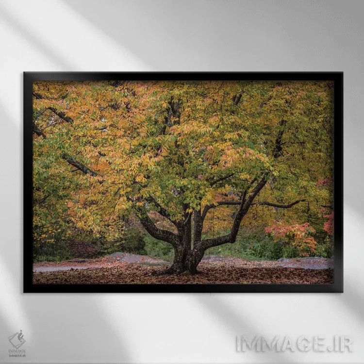 تابلو پرشاخ و برگ اثر دیوید گارباورر - نمای قابدار مشکی