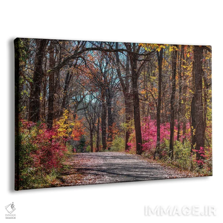 تابلو مسیر عمارت اثر دیوید گارباورر - نمای پرسپکتیو محصول