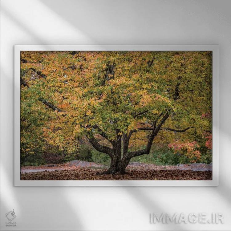 تابلو پرشاخ و برگ اثر دیوید گارباورر - نمای قابدار سفید