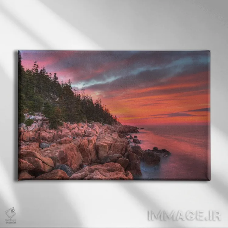 تابلو صبح مین (ایالت مین) اثر دیوید گارباورر - نمای روبهرو روی دیوار