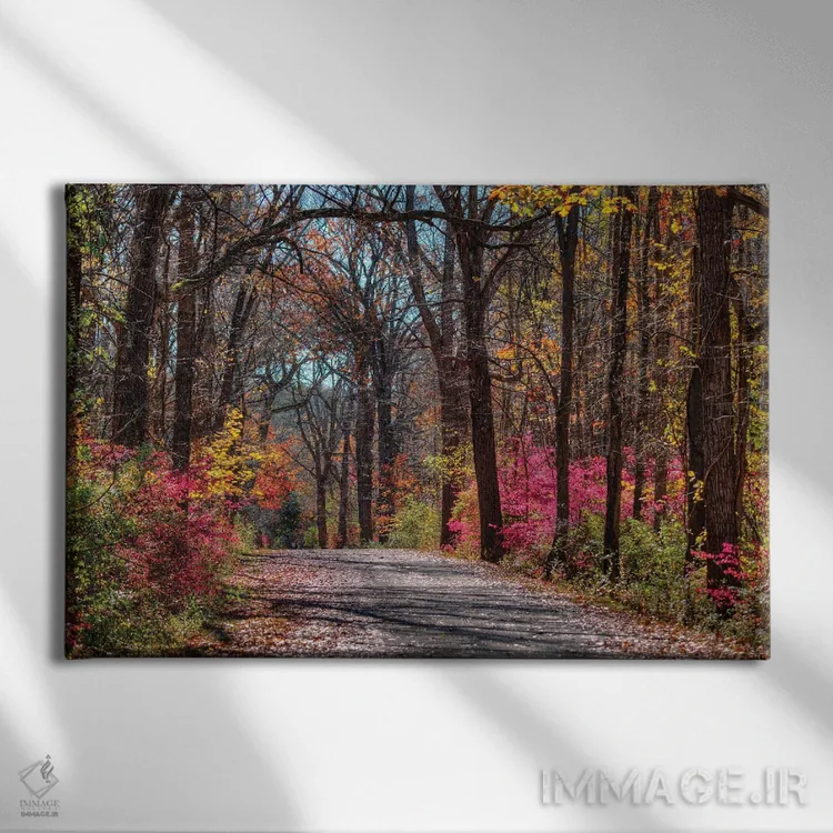 تابلو مسیر عمارت اثر دیوید گارباورر - نمای روبهرو روی دیوار