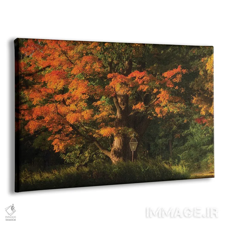 تابلو بلوط کهنسال اثر دیوید گارباورر - نمای پرسپکتیو محصول