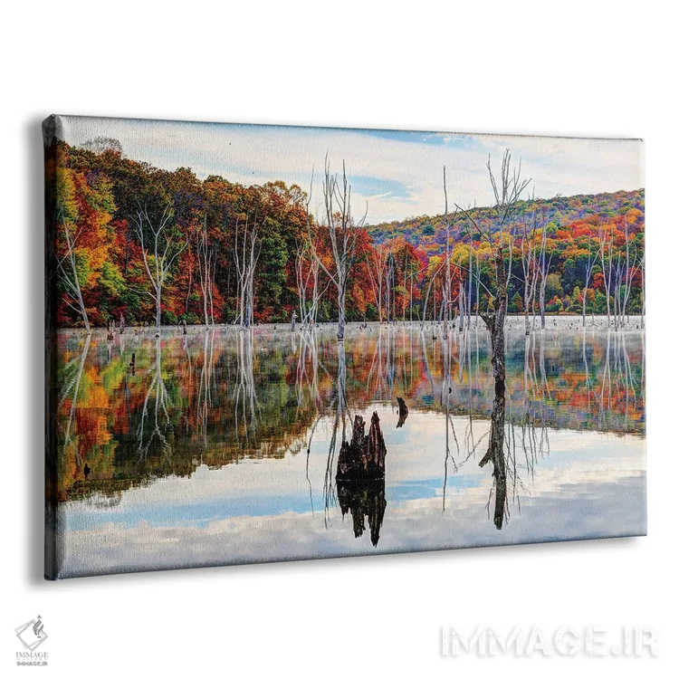 تابلو پاییز مانکسویل (نام مکان) اثر دیوید گارباورر - نمای پرسپکتیو محصول