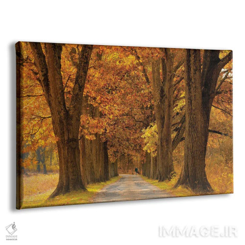 تابلو پاییز گذر بلوطها اثر دیوید گارباورر - نمای پرسپکتیو محصول