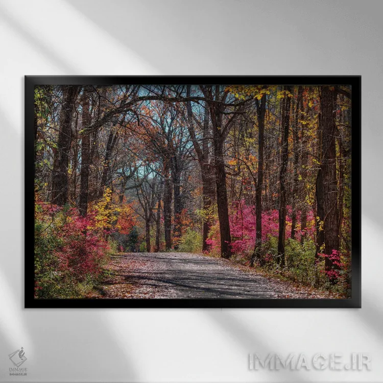 تابلو مسیر عمارت اثر دیوید گارباورر - نمای قابدار مشکی