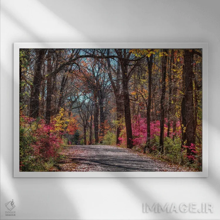 تابلو مسیر عمارت اثر دیوید گارباورر - نمای قابدار سفید