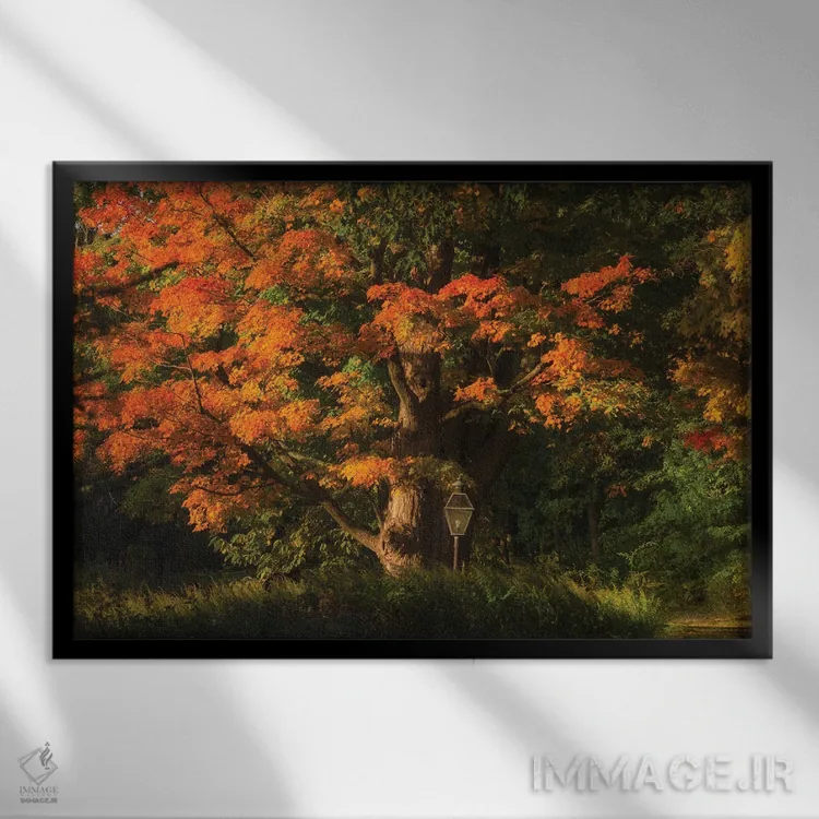 تابلو بلوط کهنسال اثر دیوید گارباورر - نمای قابدار مشکی