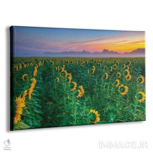 تابلو در جستجوی خورشید اثر دیوید گارباورر - نمای پرسپکتیو محصول
