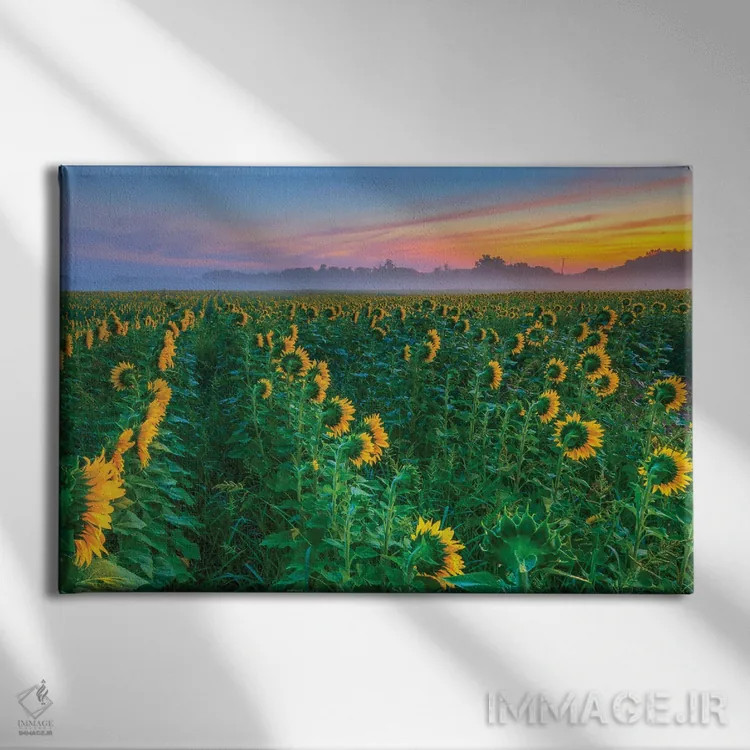 تابلو در جستجوی خورشید اثر دیوید گارباورر - نمای روبهرو روی دیوار