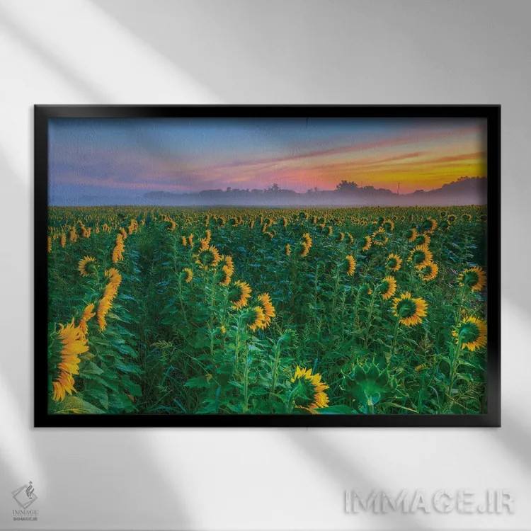 تابلو در جستجوی خورشید اثر دیوید گارباورر - نمای قابدار مشکی