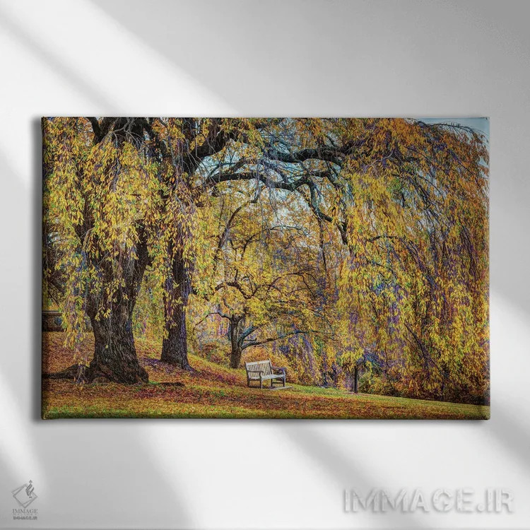 تابلو نیمکت بید اثر دیوید گارباورر - نمای روبهرو روی دیوار