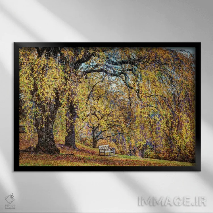 تابلو نیمکت بید اثر دیوید گارباورر - نمای قابدار مشکی