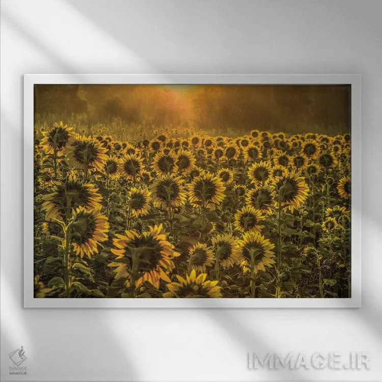 تابلو پرستندگان خورشید اثر دیوید گارباورر - نمای قابدار سفید