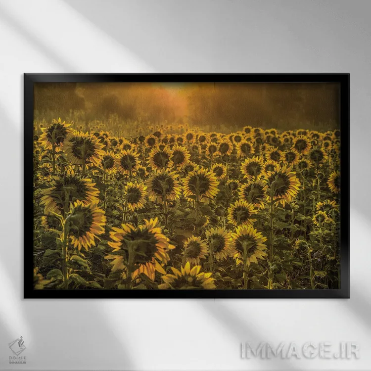 تابلو پرستندگان خورشید اثر دیوید گارباورر - نمای قابدار مشکی