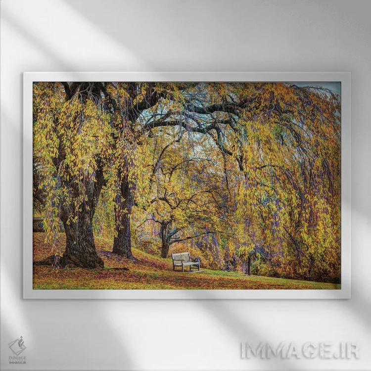 تابلو نیمکت بید اثر دیوید گارباورر - نمای قابدار سفید