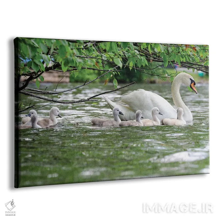 تابلو شناور خانوادگی اثر دیوید گارباورر - نمای پرسپکتیو محصول