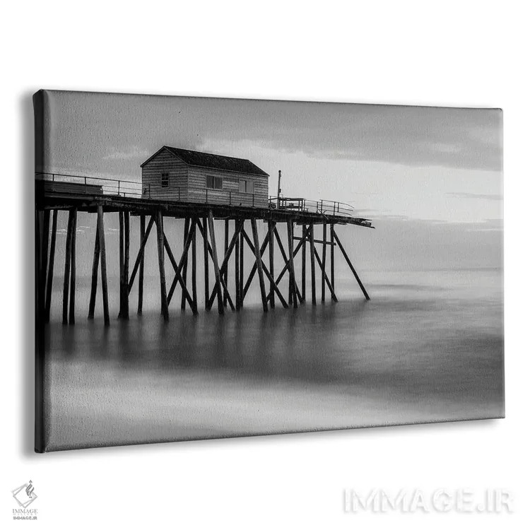 تابلو اسکلهٔ سیاه و سفید اثر دیوید گارباورر - نمای پرسپکتیو محصول