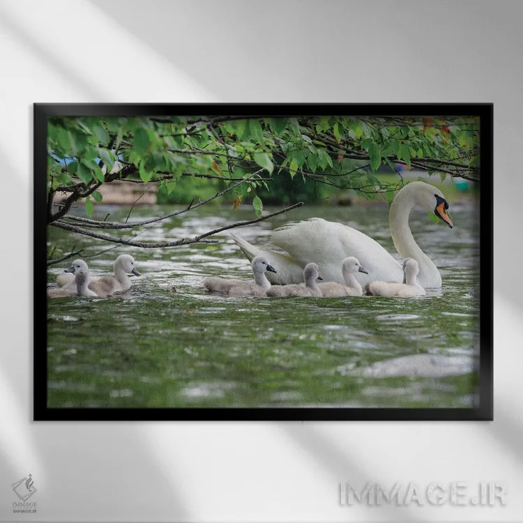 تابلو شناور خانوادگی اثر دیوید گارباورر - نمای قابدار مشکی