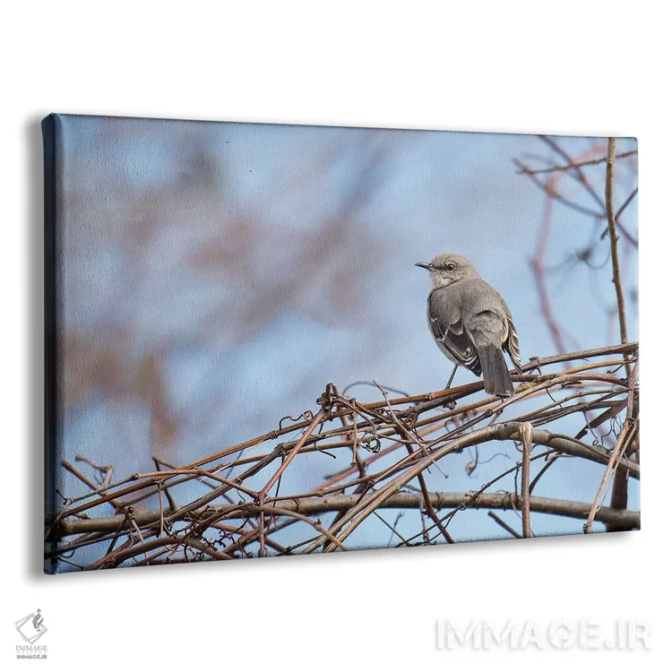 تابلو خاکستری و آبی اثر دیوید گارباورر - نمای پرسپکتیو محصول