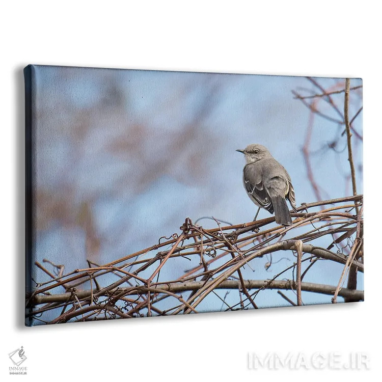 تابلو خاکستری و آبی اثر دیوید گارباورر - نمای پرسپکتیو محصول