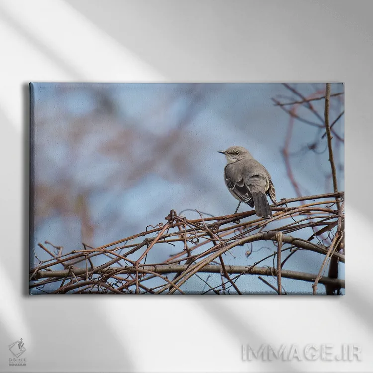تابلو خاکستری و آبی اثر دیوید گارباورر - نمای روبهرو روی دیوار