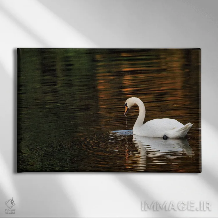 تابلو انعکاسهای پاییزی اثر دیوید گارباورر - نمای روبهرو روی دیوار