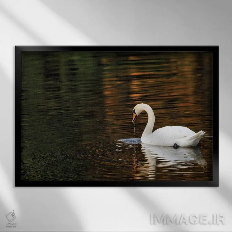 تابلو انعکاسهای پاییزی اثر دیوید گارباورر - نمای قابدار مشکی