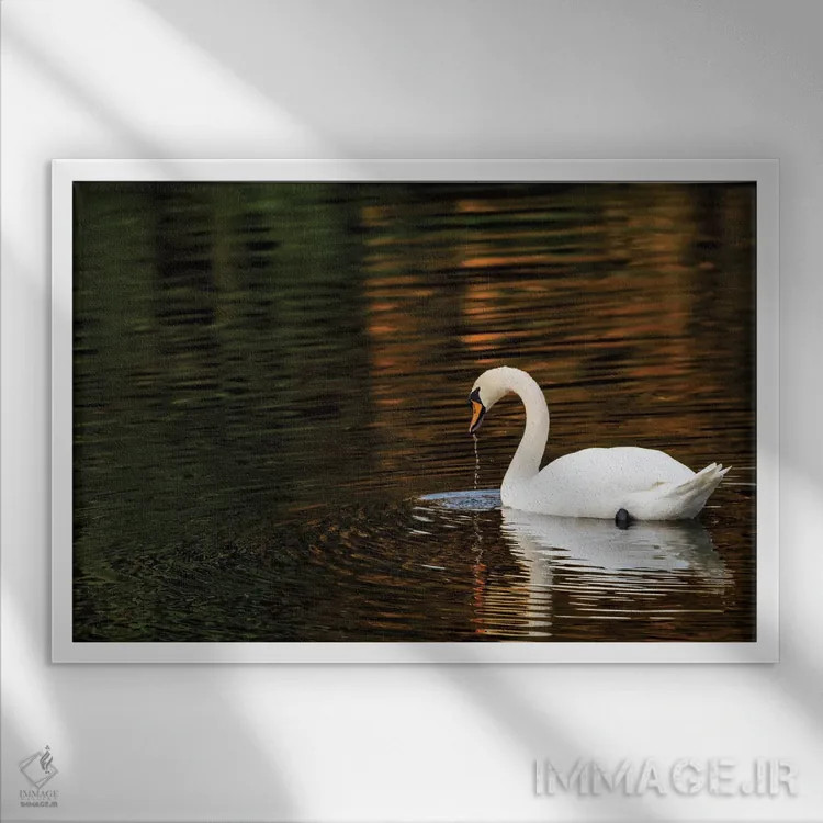 تابلو انعکاسهای پاییزی اثر دیوید گارباورر - نمای قابدار سفید