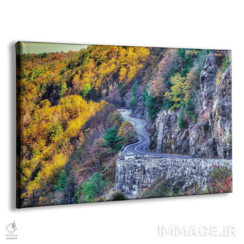 تابلو جادهٔ دلاور (آمریکا) اثر دیوید گارباورر - نمای پرسپکتیو محصول