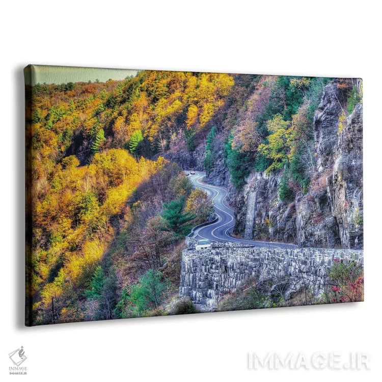 تابلو جادهٔ دلاور (آمریکا) اثر دیوید گارباورر - نمای پرسپکتیو محصول