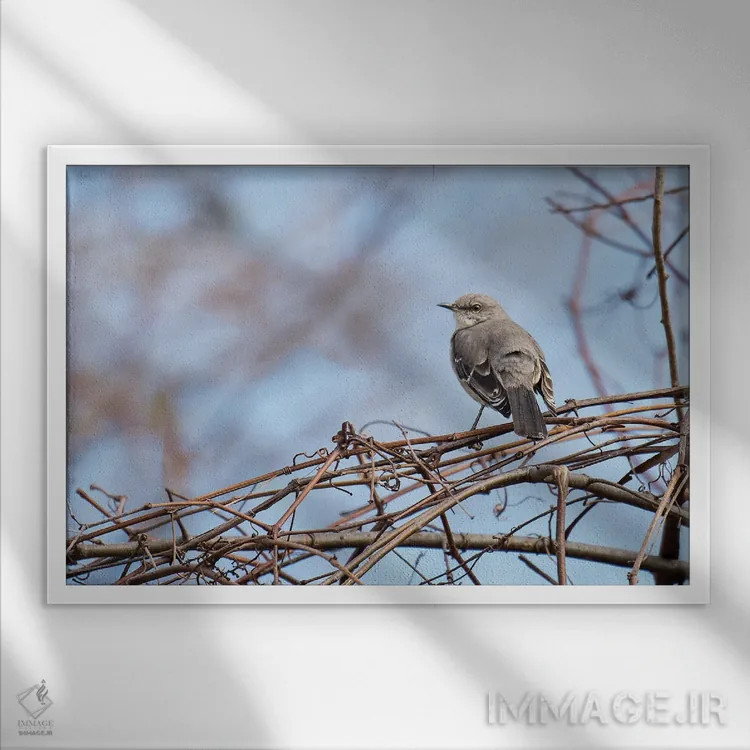 تابلو خاکستری و آبی اثر دیوید گارباورر - نمای قابدار سفید