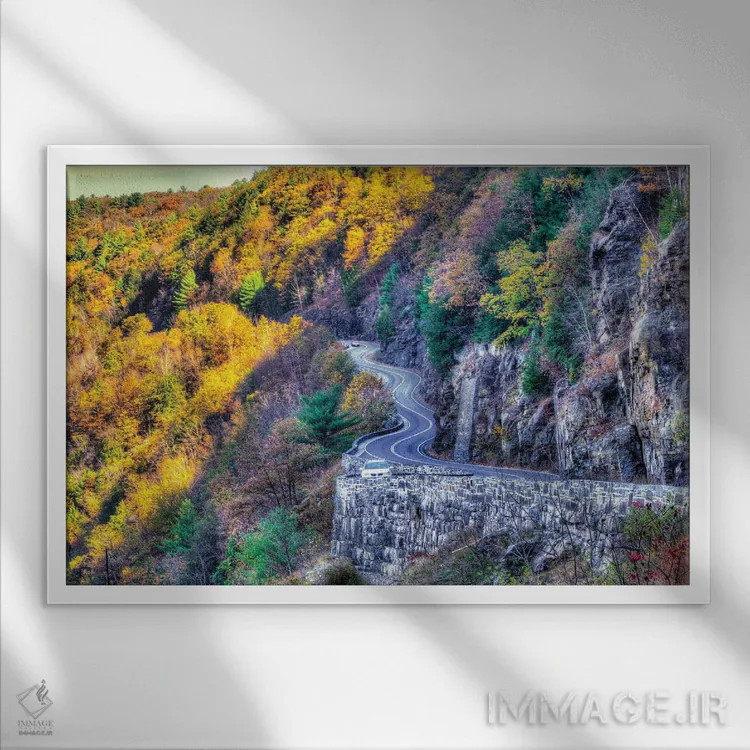 تابلو جادهٔ دلاور (آمریکا) اثر دیوید گارباورر - نمای قابدار سفید