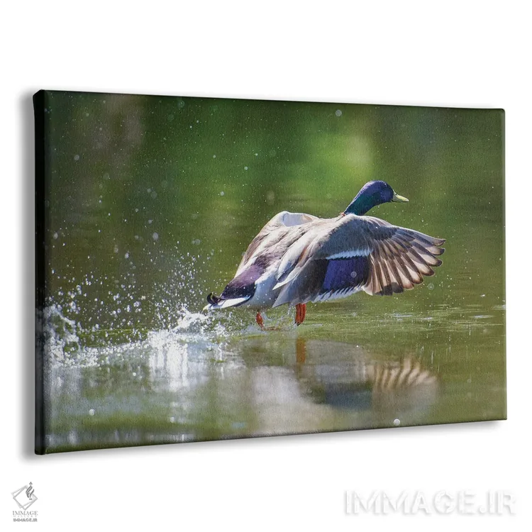 تابلو برخاستن (پرواز) اثر دیوید گارباورر - نمای پرسپکتیو محصول