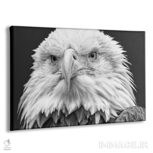 تابلو تو را میبینم! اثر دیوید گارباورر - نمای پرسپکتیو محصول